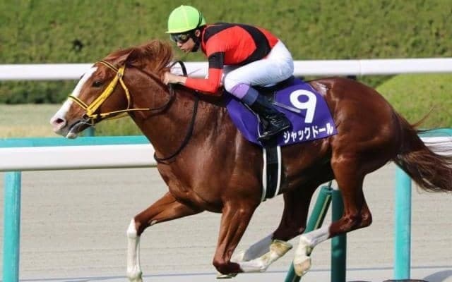 【札幌記念予想オッズ】ジャックドールが予想1番人気