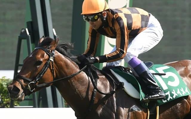 重賞2勝の快足牝馬が北九州記念参戦 松若風馬騎手とのタッグで古馬と初対決