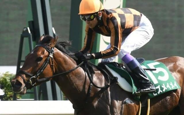 【北九州記念予想オッズ】モズメイメイが予想1番人気