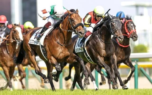 かつての宿敵を1年5カ月ぶりVに導く 横山武史騎手×シャフリヤールが札幌記念でタッグ