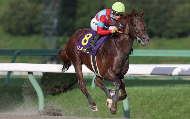 【クラスターC】リメイクが最内強襲！断然人気に応える