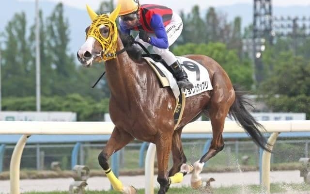 「11戦11勝の怪物」と「米G1・2着の実績馬」が大井・黒潮盃で激突