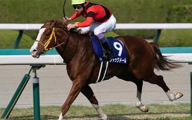 GI馬3頭を含む13頭の重賞勝ち馬が集結 豪華メンバーの“スーパーGII”札幌記念