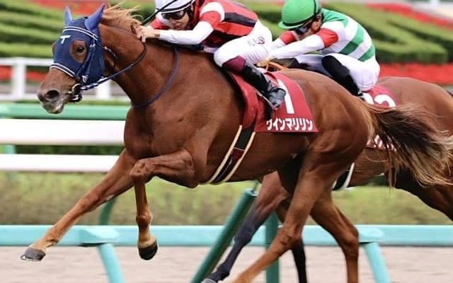 GI馬として初の国内戦へ 札幌記念で5つ目のタイトル獲得を目指す