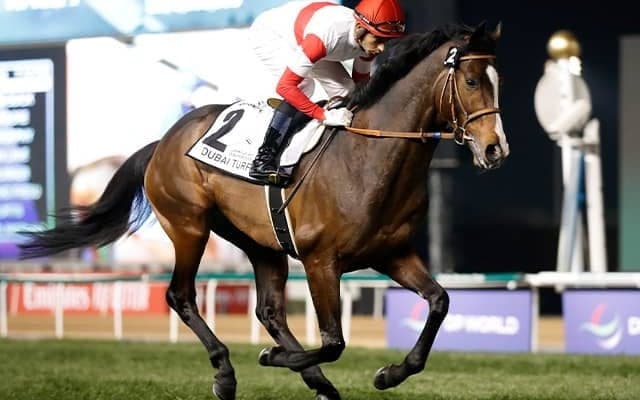  ハーツクライ産駒の伸びシロに期待 ダノンベルーガが札幌記念でGIへの弾みをつける