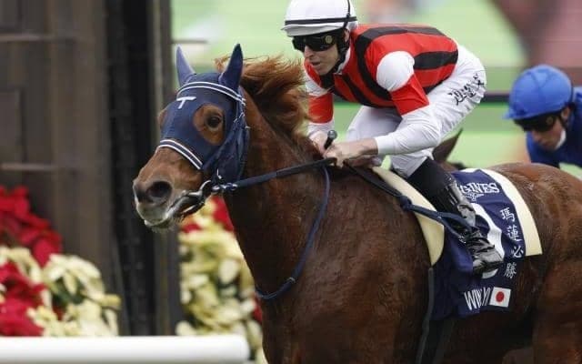 【札幌記念予想】AIが選んだのは実績のある「ちょうど手頃」な馬 近走データから徹底分析！