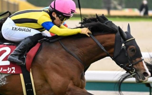 ディープ産駒の大器×川田将雅騎手 5戦5勝と相性抜群の強力タッグで札幌記念参戦