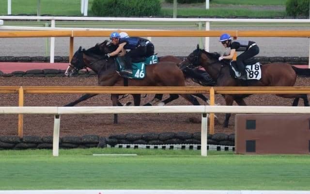 ヒヒーンなど、新潟2歳S1週前追い切り速報/栗東トレセンニュース