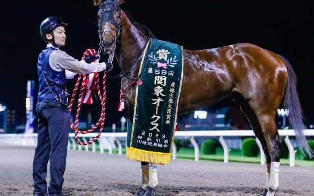 今年の関東オークス覇者が古馬撃破へ挑む 秋の牝馬戦線を占う門別・ブリーダーズGC