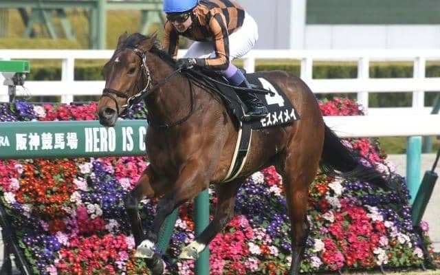 【北九州記念出走馬・騎手確定】モズメイメイ＆松若騎手、ママコチャ＆鮫島克駿騎手など18頭