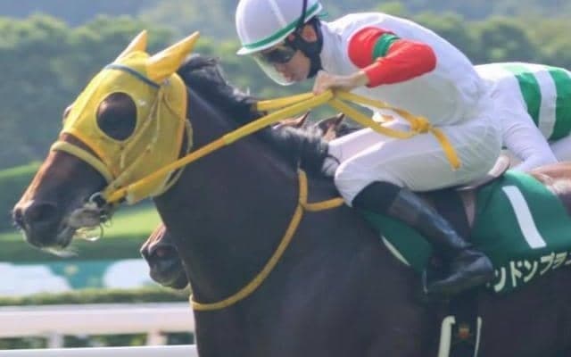 小倉2歳S覇者が待望の復帰戦 2戦2勝の得意舞台で快足披露となるか