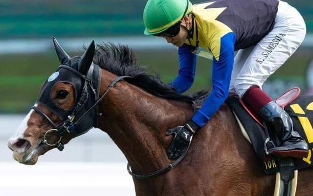 クロフネ産駒が歴代1位タイの19年連続JRA重賞Vへ 北九州記念にソダシ全妹参戦