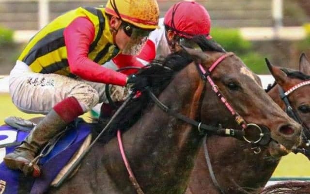 重賞未勝利でも賞金は2億4442万円 古豪が北九州記念で悲願の初タイトルへ