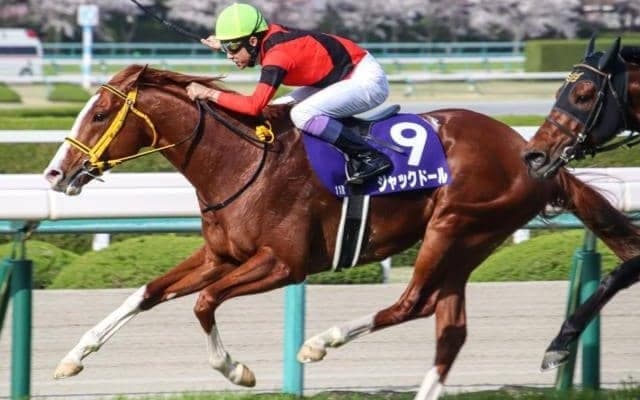 1番人気が“11連敗中”の札幌記念 今年こそジンクスを破れるか