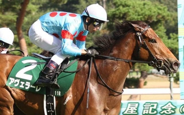 【関屋記念】戸崎「（スタートを）気をつけていた」アヴェラーレが重賞初制覇