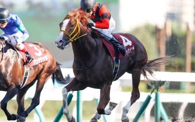 【札幌記念予想】GI馬3頭など好メンバーの一戦を展望/本島修司の有力馬診断！