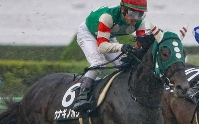 【上越S予想】前走は不利大ながら5着入線 展開嵌まれば突き抜ける