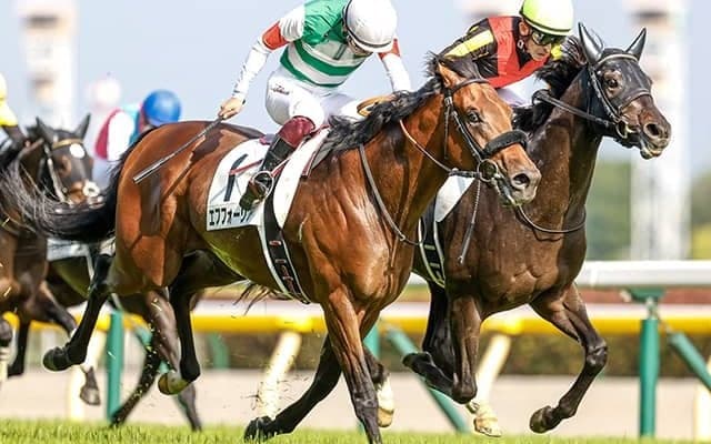 ダービーで激戦を繰り広げた“元ライバル同士” 異色タッグで札幌記念Vなるか