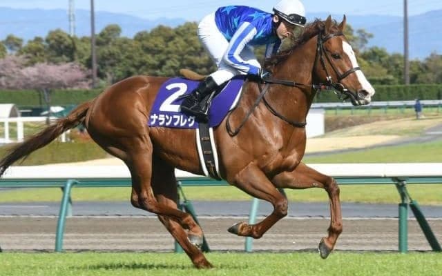 【キーンランドC想定馬・騎手】ナランフレグ、キミワクイーンなど23頭