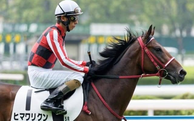 全18頭が“連闘”の珍事 トンコツラーメンやポンズ出走の土曜小倉1R