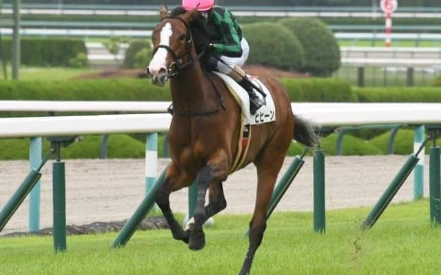 【新潟2歳S想定馬・騎手】ヒヒーン、ルージュスタニングなど12頭