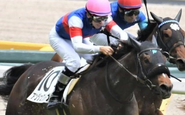 【土曜札幌2R予想】母の半兄にはダート重賞馬ズラリ “砂の良血馬”が父にJRA初勝利届ける
