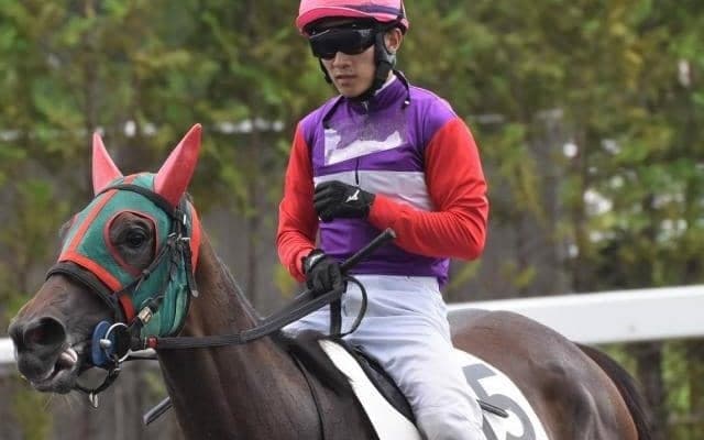 土曜札幌8Rは小回り1700ベストのセイカティターニア 待望の2勝目へチャンスだ