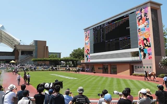 【新潟3R新馬戦結果】5番人気のブループリマドンナが逃げて圧勝！