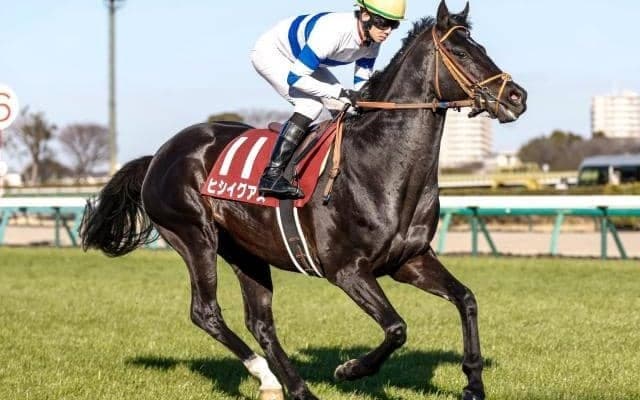 【札幌記念予想】豪華メンバーで争われる夏競馬のハイライト