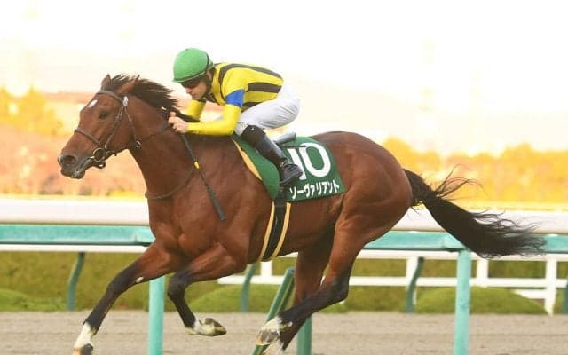 札幌記念の注目は「札幌・芝2000ｍ」に強いオルフェーヴル産駒と、４歳夏以降の成長に期待のモーリス産駒