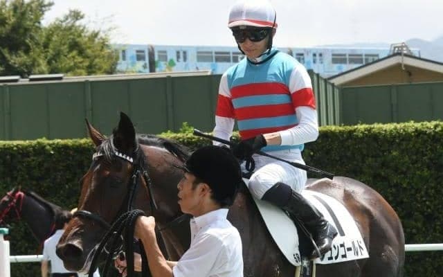 【小倉5R新馬戦結果】人気に応えジュンゴールドが差し切ってデビューV！