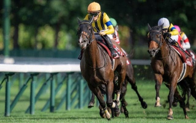 【札幌記念】川田「適性の差も出たのかなとは思います」プログノーシスが重賞2勝目