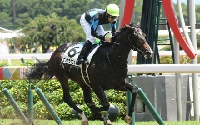 キーンランドCと新潟2歳S 札幌でWASJ開催/今週の競馬界の見どころ