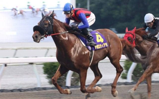 【高知・建依別賞】単勝1.3倍アポロティアモが断然の支持に応える…吉原「厩舎の皆さんに感謝」