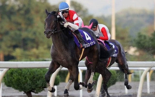 【水沢・ビギナーズC】単勝1.0倍フジユージーンが人気に応える…村上忍「広い盛岡の方が合う」