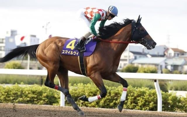 前走JpnII・2着のスマイルウィは8枠14番 川崎・スパーキングサマーC枠順