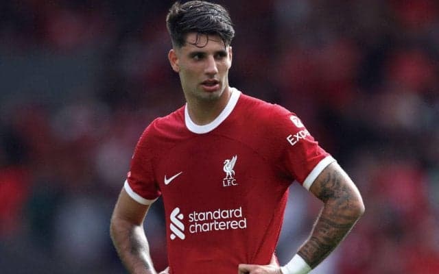 「全員が素晴らしいリアクション」 ソボスライが本拠地デビューを回想 「1人でも足を止めれば10人は9人に」