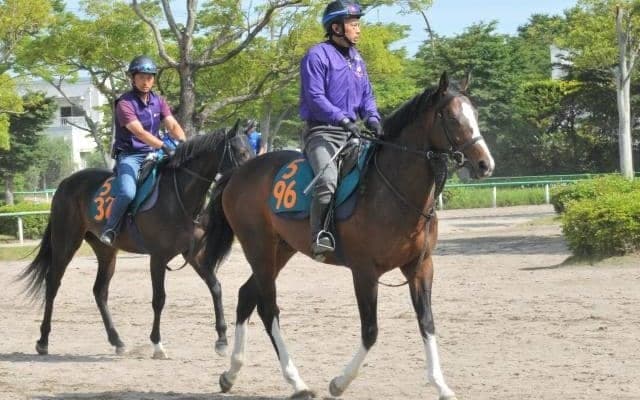 ダート重賞勝ち馬の仔アグラードなど 秋以降の飛躍に向けどの馬が勝ち上がるか/関東馬メイクデビュー情報