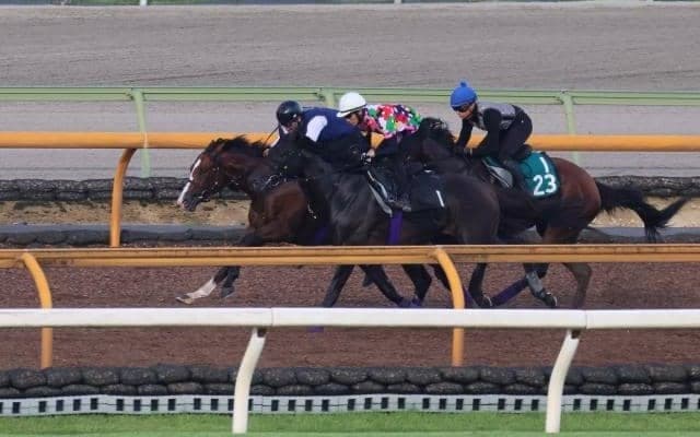 一昨年イクイノックスらが出走した新馬戦 今年は新種牡馬シュヴァルグラン産駒などが参戦/関西馬メイクデビュー情報