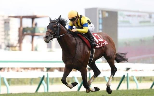 プログノーシスの血統を徹底分析 背景には母ヴェルダの優れた能力