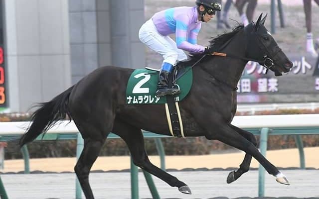 【キーンランドC想定騎手】ナムラクレアは浜中俊騎手、キミワクイーンは横山武史騎手