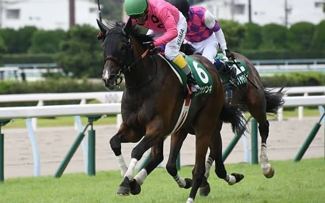 【小倉サマーJ想定騎手】アサクサゲンキは小牧加矢太騎手、テーオーソクラテスは小坂忠士騎手