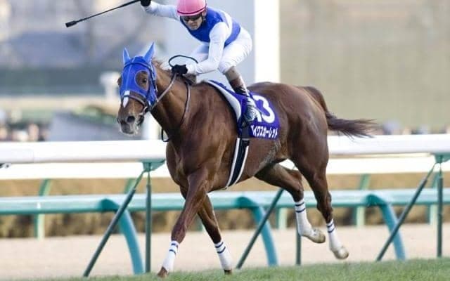 “ミスパーフェクト”ダイワスカーレットを振り返る きょう「パーフェクトの日」