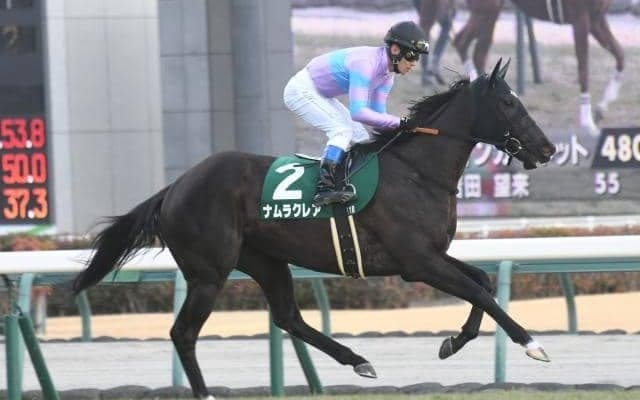 【キーンランドC予想オッズ】ナムラクレアが予想1番人気