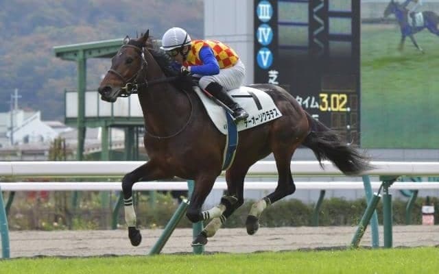 【小倉サマージャンプ予想オッズ】テーオーソクラテスが予想1番人気