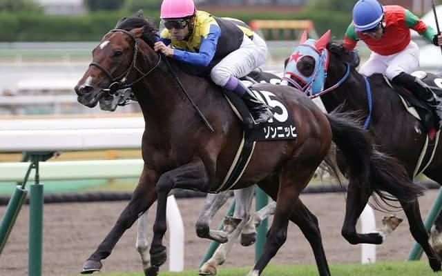 武豊騎手×池江泰寿調教師の同級生タッグがキーンランドC参戦 6年ぶりJRA重賞制覇なるか