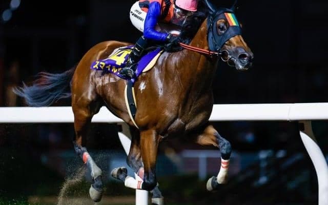 【川崎・スパーキングサマーC結果】スマイルウィが人気に応えて重賞4勝目！
