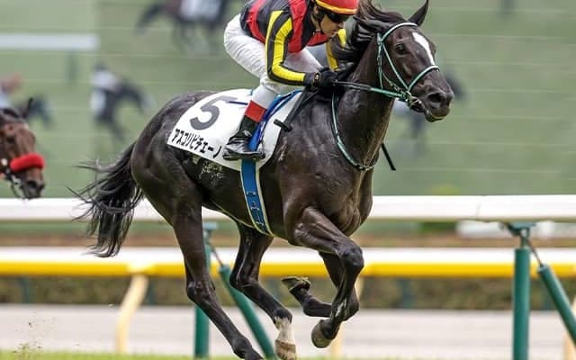 父は過去2勝のダイワメジャー 良血馬が新潟2歳Sで無傷の重賞V狙う