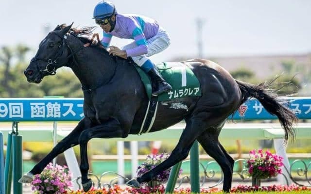 【キーンランドC枠順確定】ナムラクレアは7枠14番、キミワクイーンは2枠4番