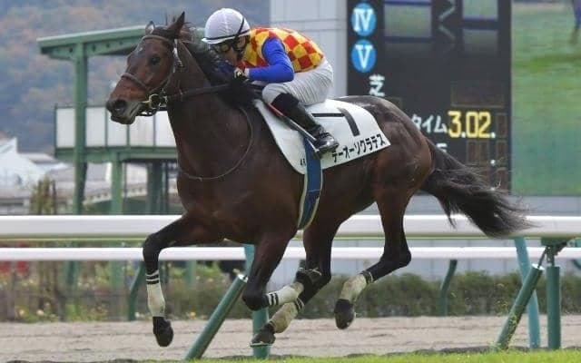 【小倉サマーJ枠順確定】テーオーソクラテスは7枠8番、アサクサゲンキは8枠10番